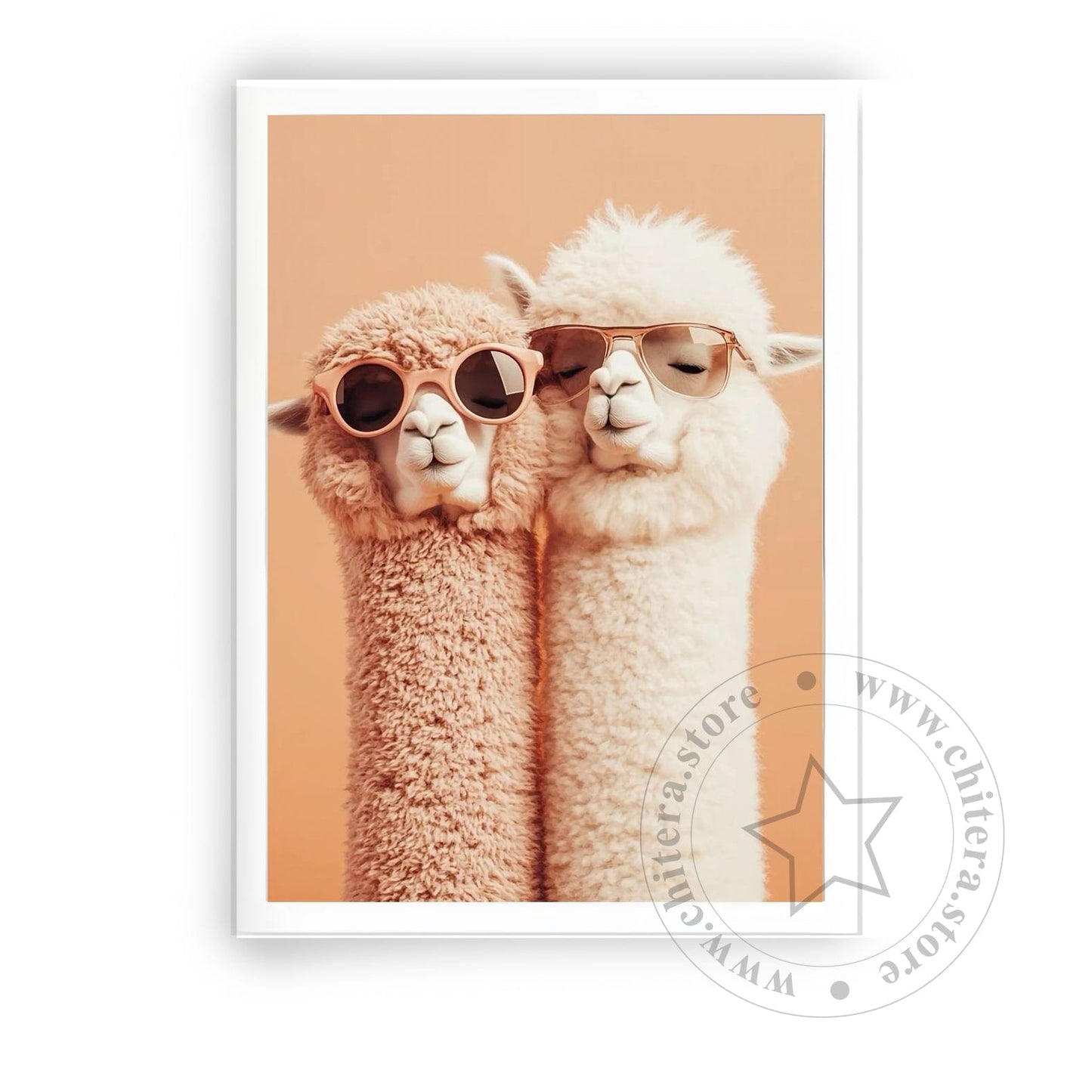Cool Llama Couple in Sunglasses Wall Canvas Art